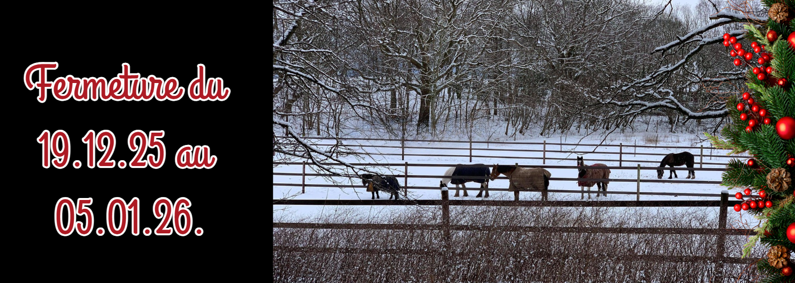 Barrières anglaises et à crosse, piliers en pin traité Classe IV pour des portes à simple ou double vantail esthétiques et durables.  Pin issu de filières bois FSC et PEFC. Traitement spécifique Jackure sur bois sec à 18% avant traitement